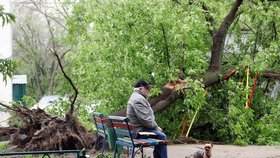 Silný uragán v Moskvě vyvrátil tisíce stromů a připravil o život 16 lidí.