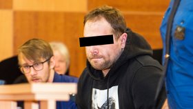 Michalu P. hrozí až 20 let za mřížemi.