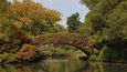 Gapstow Bridge, New York, USA