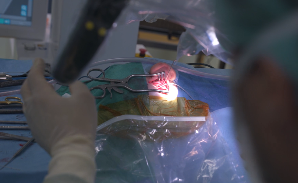 Lékaři z motolské nemocnice vrátili hluchému chlapci sluch díky speciálnímu robotickému systému.