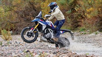 BMW F 450 GS BMW F 450 GS