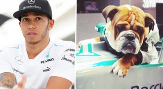 Kdepak Vettel... Hvězdou formule 1 se stal Hamiltonův buldok