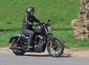 Harley-Davidson Iron 883: Americký bavič