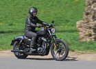 Harley-Davidson Iron 883: Americký bavič