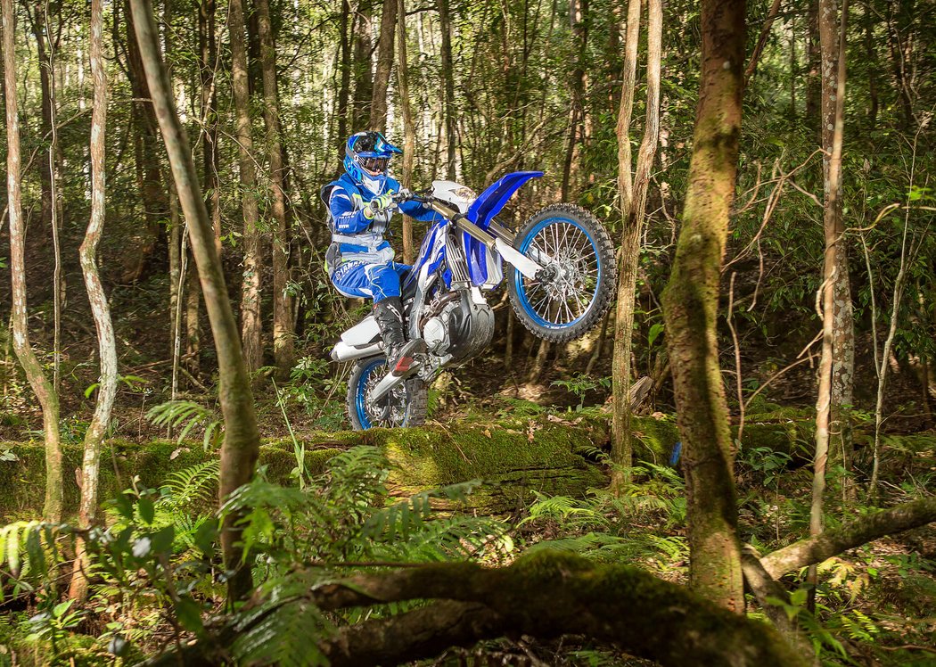 Yamaha WR450F