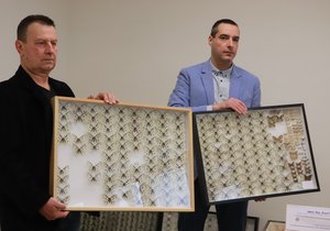 Kriminalisté Josef Bečvář a Radim Hönig (zleva) ukazují část zadržené sbírky motýlů, převažují v ní vyhynulá jasoni červenoocí.
