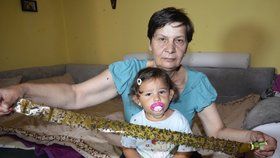 Babička Božena Němcová (59) s vnučkou Laurou (2) ukazují, co se během dopoledne nachytalo na mucholapku.