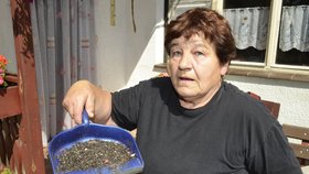 Když Helena Šimková (73) nastříká mouchy insekticidem, je za chvíli na zemi černo.