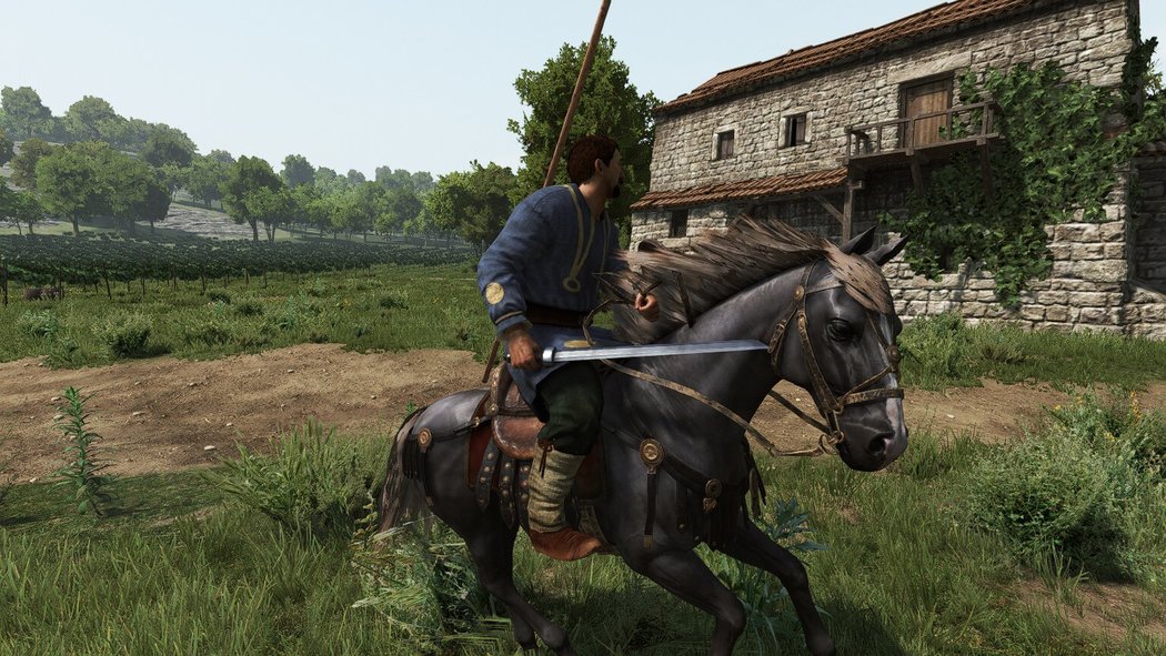 Mount  Blade II: Bannerlord, Mount & Blade II