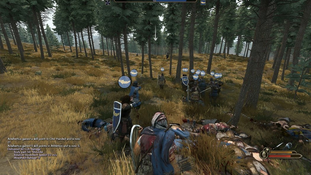 Mount  Blade II: Bannerlord, Mount & Blade II