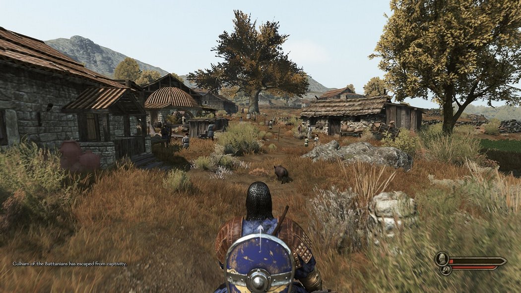 Mount  Blade II: Bannerlord, Mount & Blade II