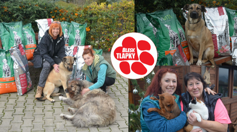 Mountfield pomohl v Řepnici. Granule daroval útulku, který zachraňuje zvířata už 31 let