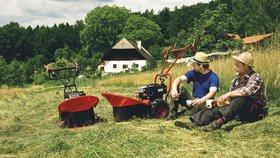 Bubnové sekačky vyhledávají  k sečení vysoké trávy nejen majitelé velkých zahrad, ale také drobní zemědělci a chovatelé.