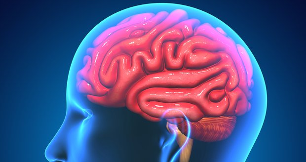 Horko deptá lidské mozky a přispívá k agresi, říká neurolog
