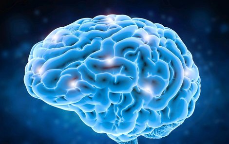 Mozek si nepamatuje věci kontinuálně, ale pouze segmenty, které si skládá dohromady.