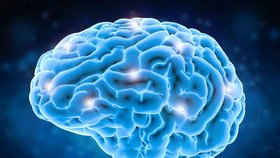 Při Parkinsonově nemoci zanikají některá centra v mozku.