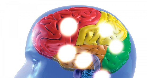 Jakou část mozku používáte nejvíc?
