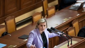 Hlasování o vyslovení nedůvěry vládě 18. 1. 2023: Jana Mračková Vildumetzová (ANO)