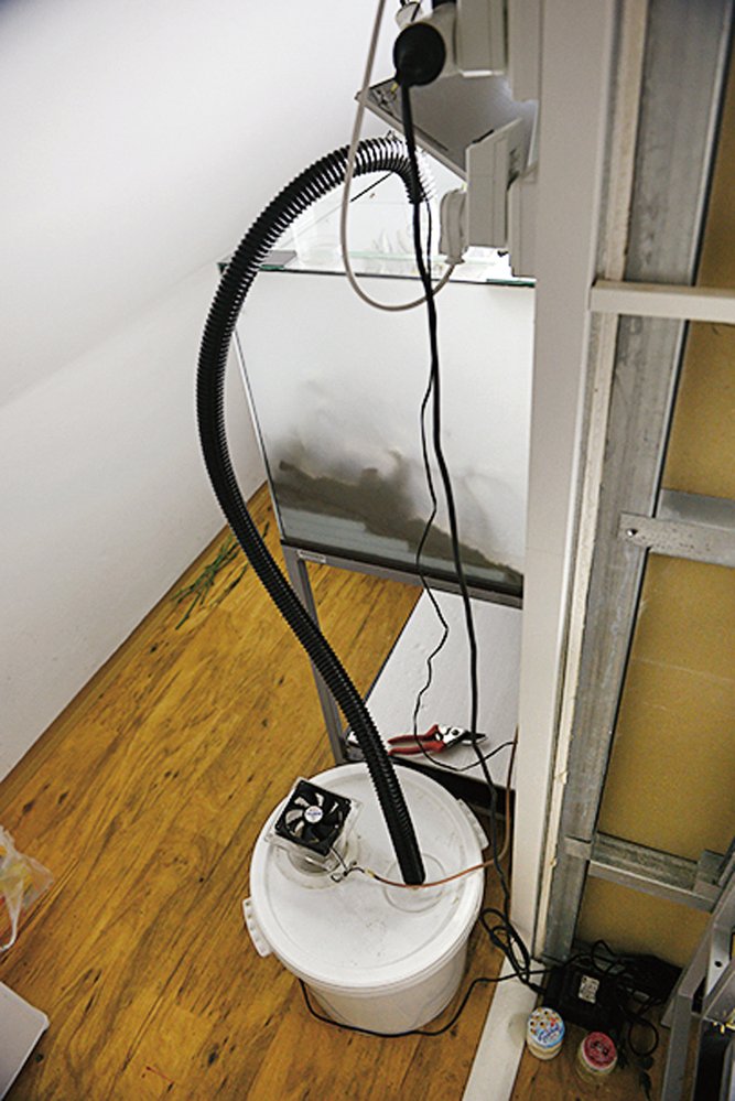 Mlhu do formikária vhání v pravidelných intervalech počítačový ventilátor