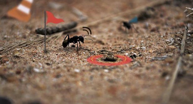 Skutečný život mravence je jako hra! A náramně zábavná