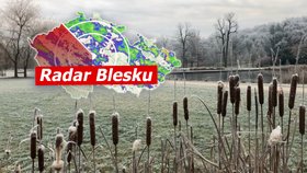 Podzimní počasí je tu: Dorazí přízemní mrazíky i déšť. Kdy se oteplí? Sledujte radar Blesku