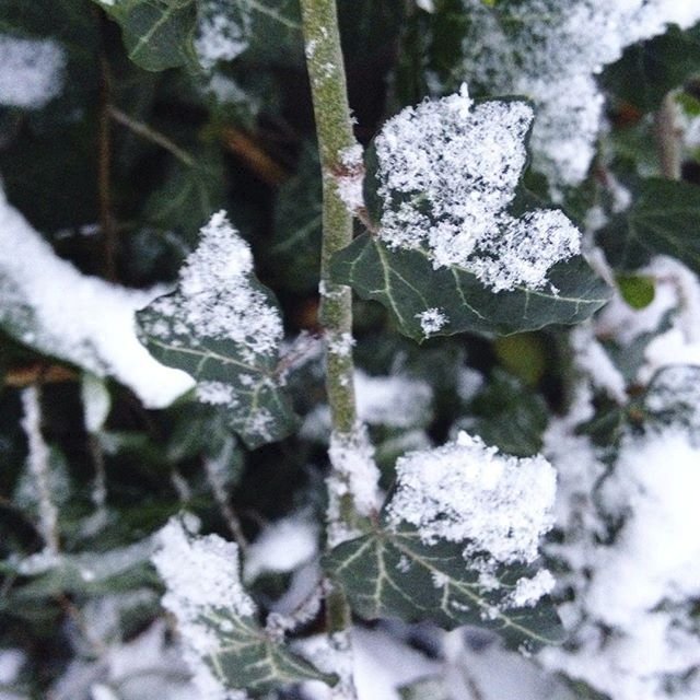 Příští týden podle meteorologů zůstanou maximální denní teploty pod bodem mrazu.