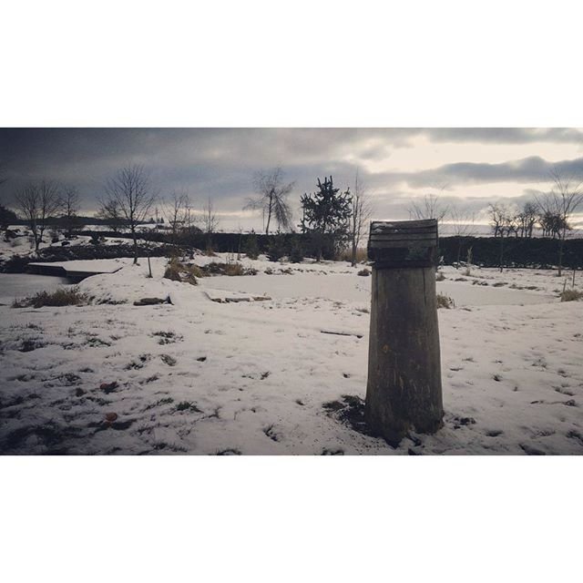 Příští týden podle meteorologů zůstanou maximální denní teploty pod bodem mrazu.