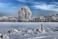 Mrazy se v Česku zdrží až do konce ledna. Oteplení přijde v únoru