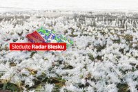 Výstraha meteorologů: Do Česka se vrátí mráz! Sledujte radar Blesku