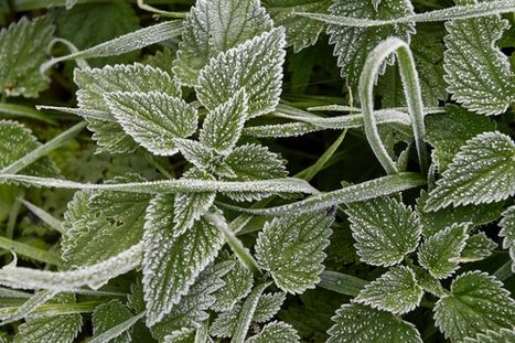 Obrázek: Meteorologové zveřejnili předpověď na víkend. Mapa odhalila, kde se počasí vymkne a kde bude klidněji