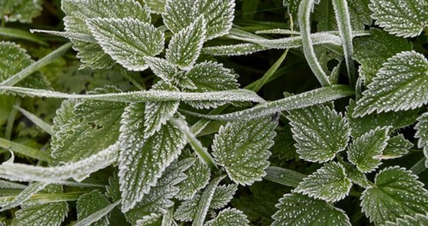 Úterý začne slunečně, ale s mrazivým ránem až -3 °C a mlhami. Večer od západu dorazí do Čech srážky. Úterý začne slunečně, ale s mrazivým ránem až -3 °C a mlhami. Večer od západu dorazí do Čech srážky.