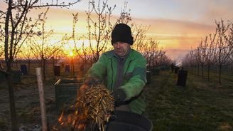 Do Česka se vrátí mráz. Jeden den bude pro zahrádkáře a zemědělce kritický Do Česka se vrátí mráz. Jeden den bude pro zahrádkáře a zemědělce kritický