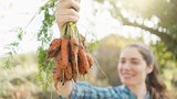 Jak správně skladovat mrkev, aby vydržela třeba až do jara?