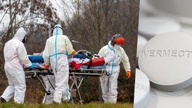 Muž z Plzeňského kraje se doma léčil ivermektinem, skončil v nemocnici s rozsáhlou mrtvicí.