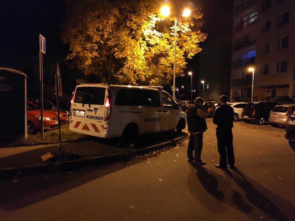 Pražští policisté prověřují, jak zemřel muž, kterého našli mrtvého v jednom z bytů v pražských Komořanech.