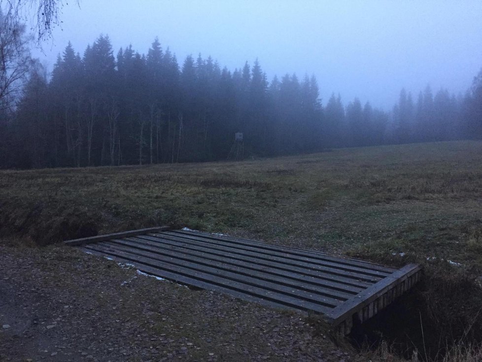 Mrtvého muže nalezli v nedaleko Schwarzenberského kanálu v jižních Čechách.