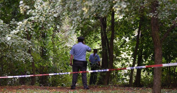 V Prostějově na staveništi našli mrtvolu: Muže někdo zavraždil!