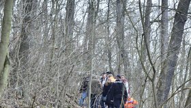 Mrtvola v lese: V pražském Sedleci našli mužské tělo