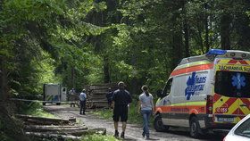 Chlapec (15) z Jablonecka se rozloučil se spolužáky a šel se zabít: Policisté ho zachránili včas. (Ilustrační foto)