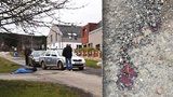 Záhadné úmrtí na Plzeňsku: Zabil ženu (†55) strach? V ruce svírala pepřák