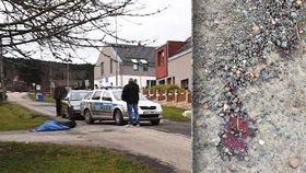 Záhadné úmrtí na Plzeňsku: Zabil ženu (†55) strach? V ruce svírala pepřák