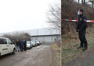 Na Zličín náhodný kolemjdoucí nalezl 2. ledna mrtvolu ve značném stadiu rozkladu.