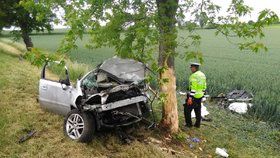 Na Litoměřicku zemřeli dva lidé při autonehodě. Vůz sjel ze silnice a narazil do stromu.