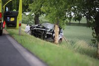 Tragická nehoda na Žďársku: Řidič dostal smyk a narazil do stromu, na místě zemřel