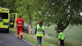 Na Litoměřicku zemřeli dva lidé při autonehodě. Vůz sjel ze silnice a narazil do stromu.