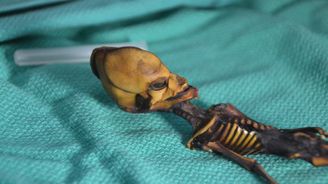 Záhadná mumie z chilské pouště: Testy DNA vyloučily mimozemský původ