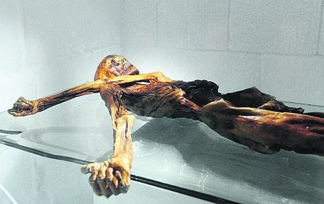 Mumii můžete vidět v muzeu v italském Bolzanu, je vystavena ve speciálním chladicím boxu.