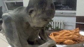 Mumie byla nalezena v Mongolsku