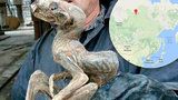 Příšera z hlubin: V dole na Sibiři našli mumii neznámého tvora