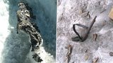 Mumie z první světové války: Tající horský ledovec odhalil těla padlých vojáků!